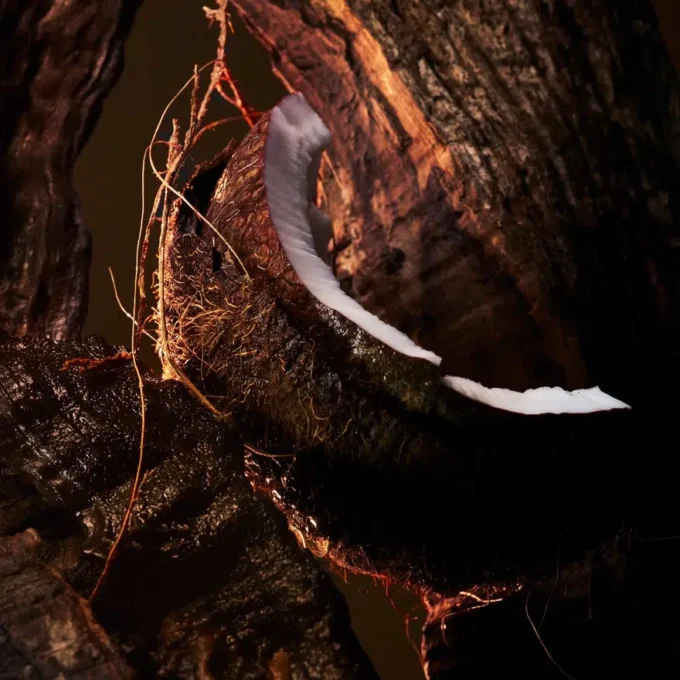 ÉBane Fatiche – Eau De Parfum 80Ml