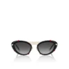 Dolly Lb0001 – Sunglasses – Metal – Shiny Black Dolly Lb0001 – Sunglasses – Metal – Shiny Black